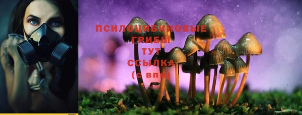 mix Саяногорск