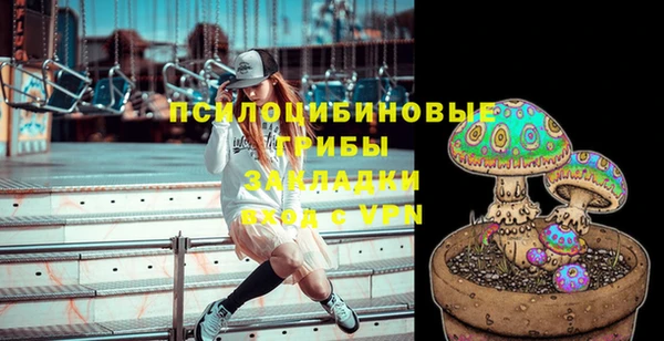 гидра Сафоново